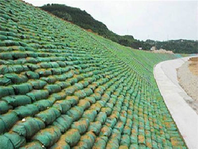 生態(tài)格網(wǎng)